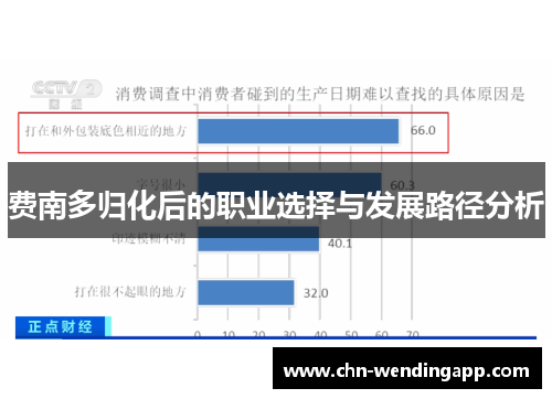 费南多归化后的职业选择与发展路径分析 费南多归化后的职业选择与发展路径分析