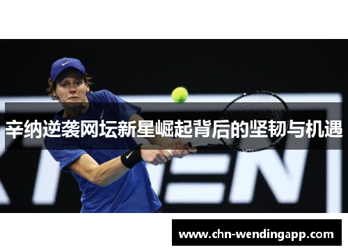 辛纳逆袭网坛新星崛起背后的坚韧与机遇
