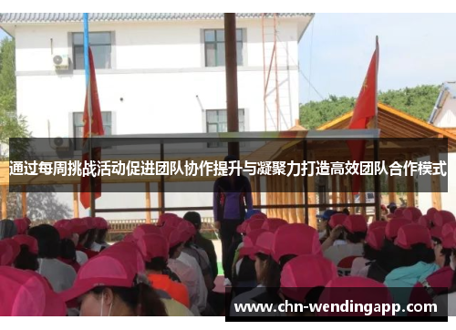 通过每周挑战活动促进团队协作提升与凝聚力打造高效团队合作模式