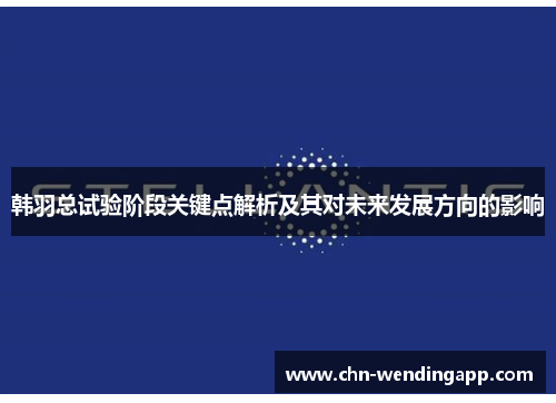 韩羽总试验阶段关键点解析及其对未来发展方向的影响