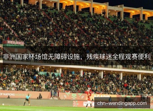 非洲国家杯场馆无障碍设施，残疾球迷全程观赛便利